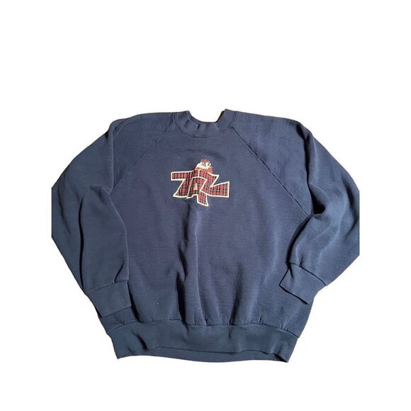 Looney Tunes Tops - Vintage 90's Taz Tazmanian Devil Looney Tunes Navy Large Crewneck Sweatshirt